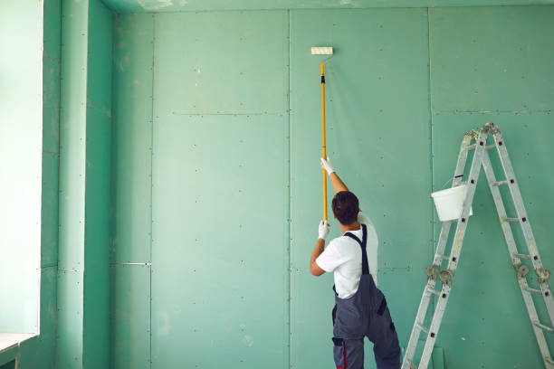 Best Biohazard Mold Removal  in La Porte, TX
