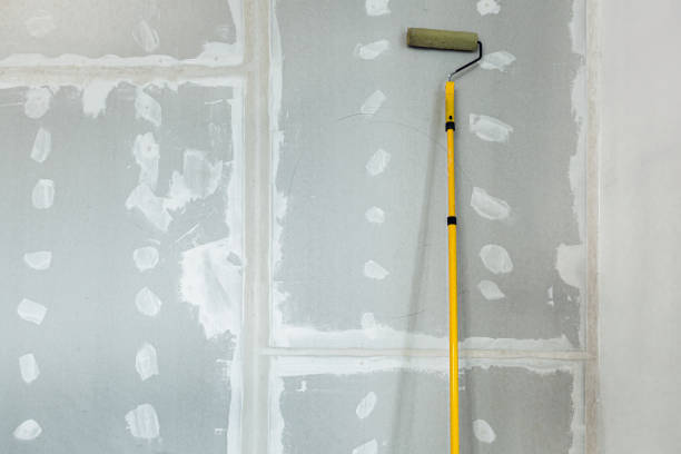 Best Water Damage & Mold Remediation  in La Porte, TX